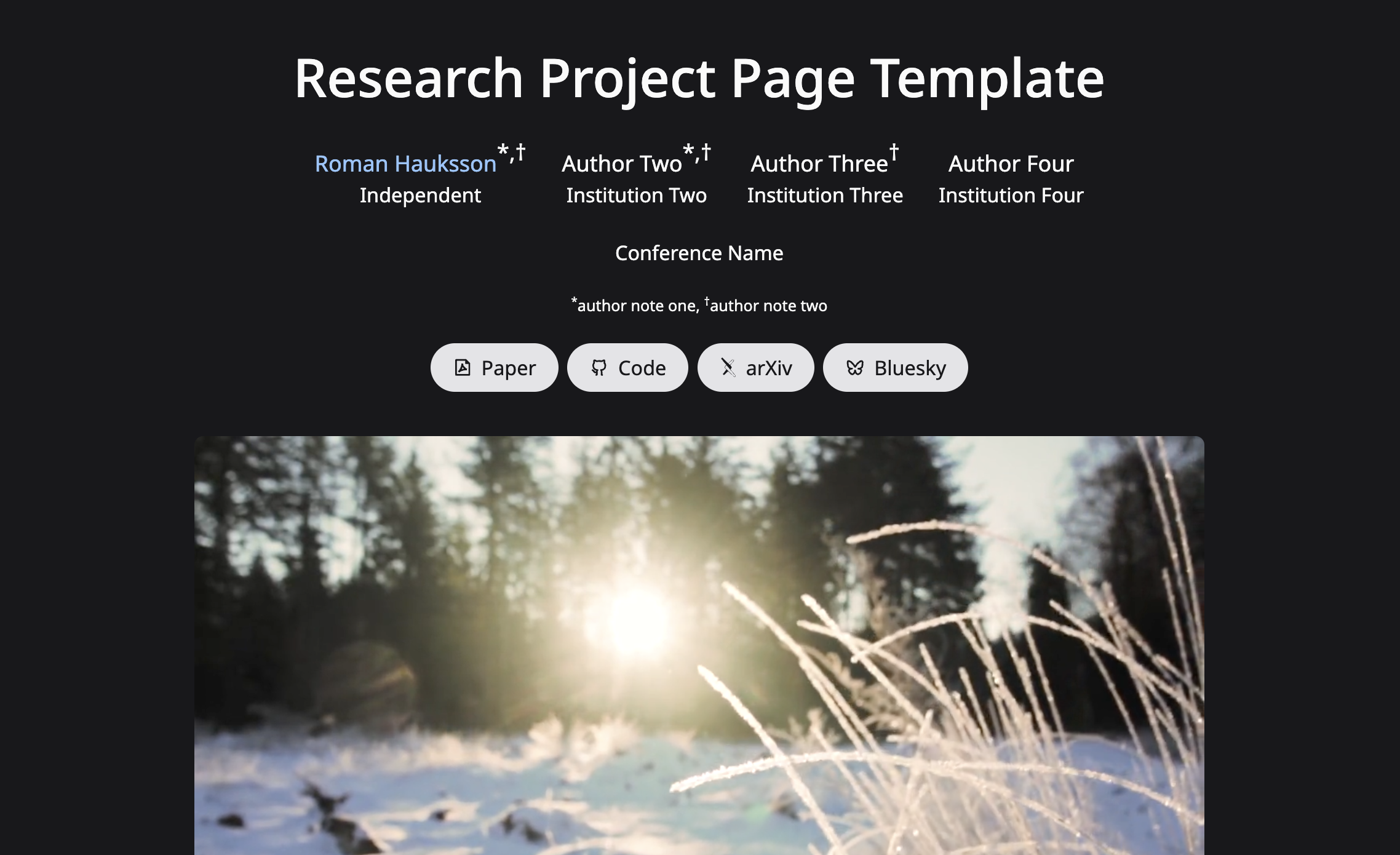 AuRaSim project website preview